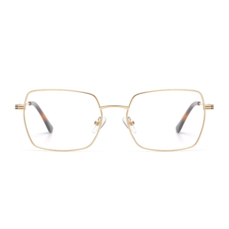 Metal Frames M6005