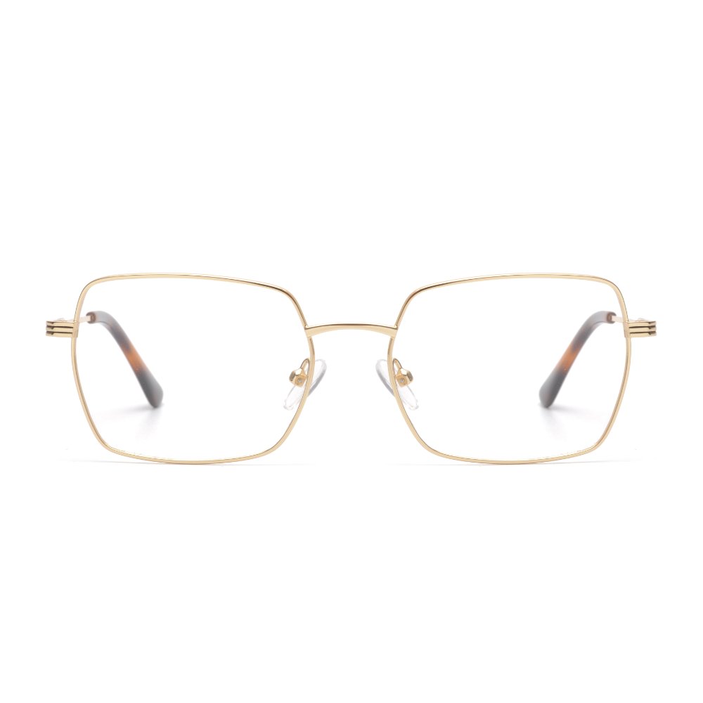 Metal Frames M6005