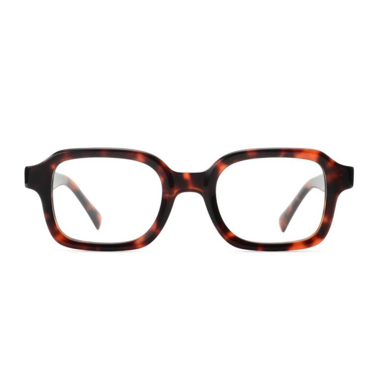 Acetate Frames T3024